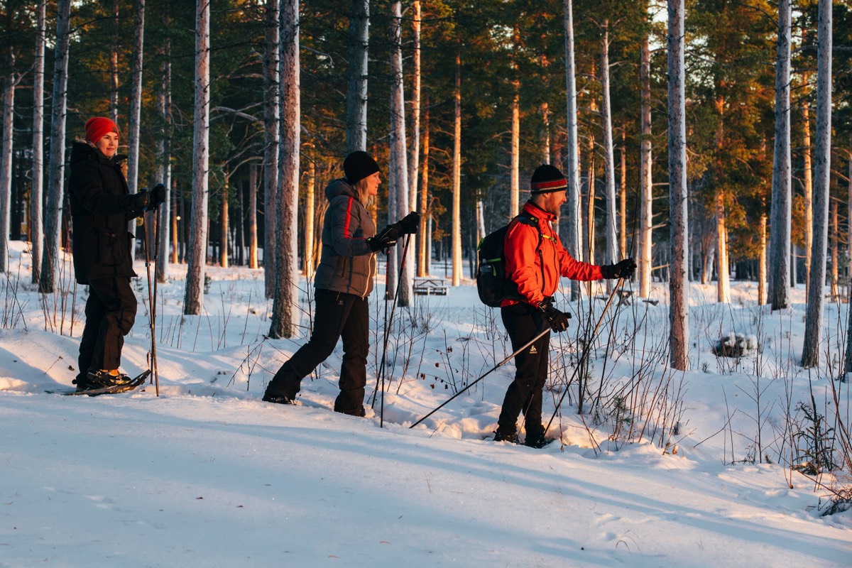 Lulea_snowshoe